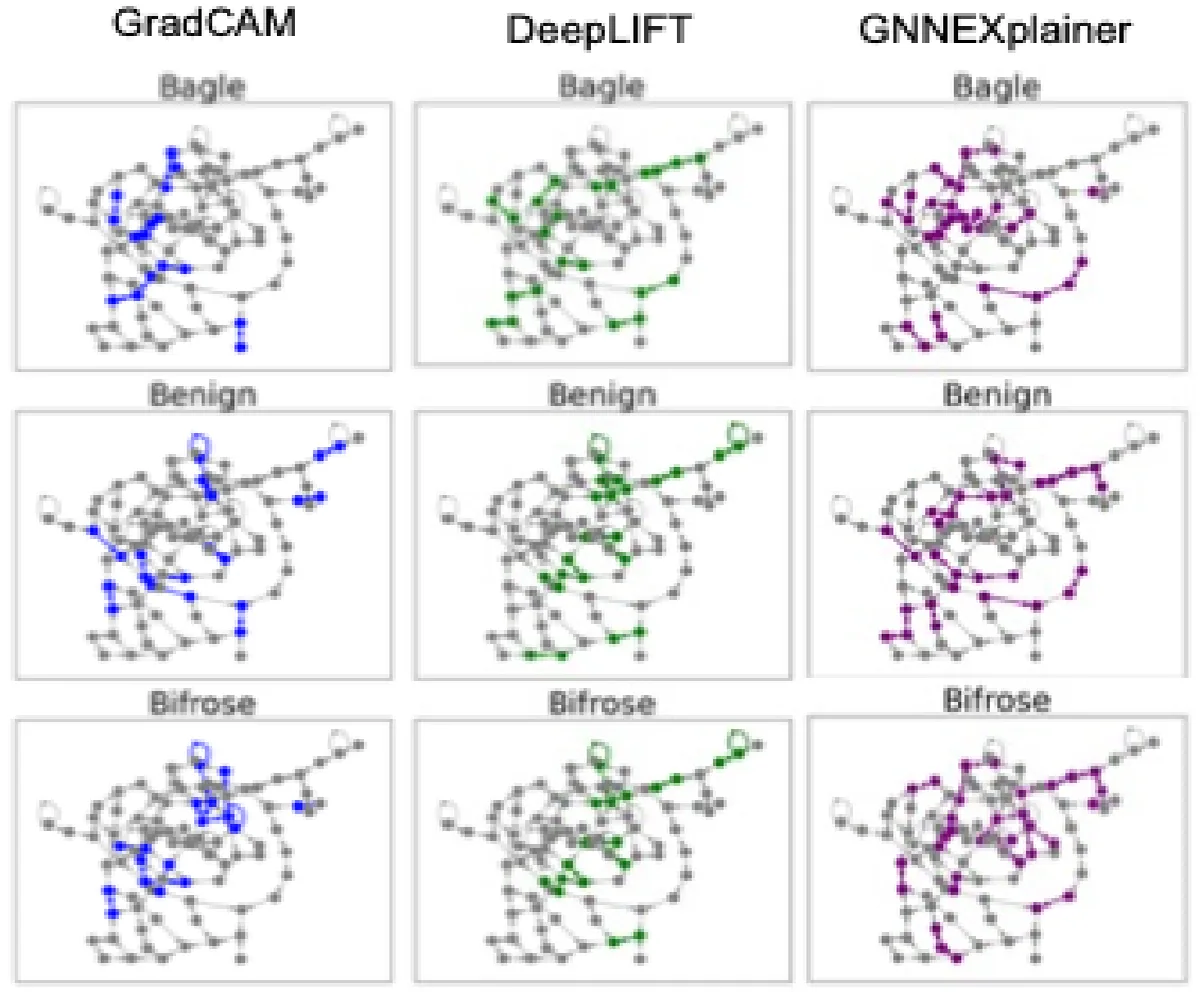 Key figure from A Survey of Explainable Graph Neural Networks for Cyber Malware Analysis