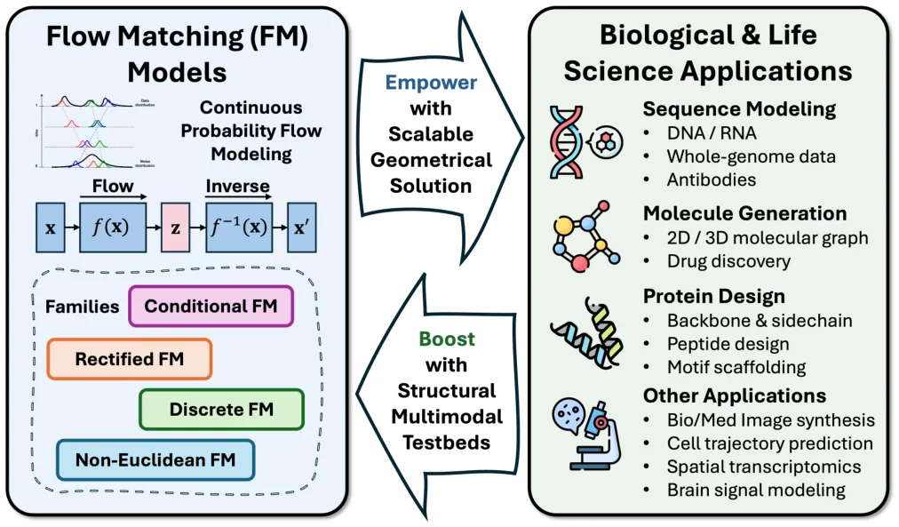 Key figure from Flow Matching Meets Biology and Life Science: A Survey